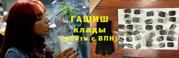 амф Новодвинск