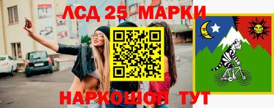 стафф Гатчина