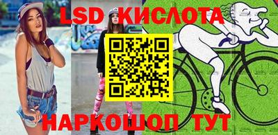стафф Гатчина
