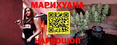 стафф Гатчина