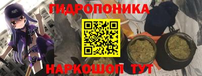mdma Гай