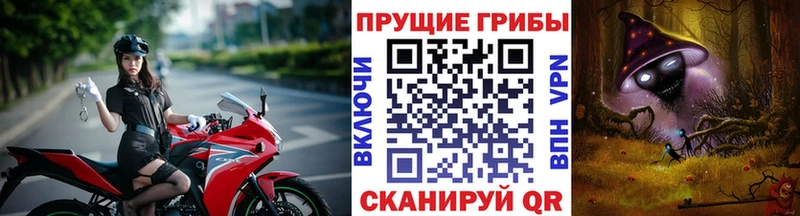 купить наркоту  Киров  Галлюциногенные грибы мухоморы 