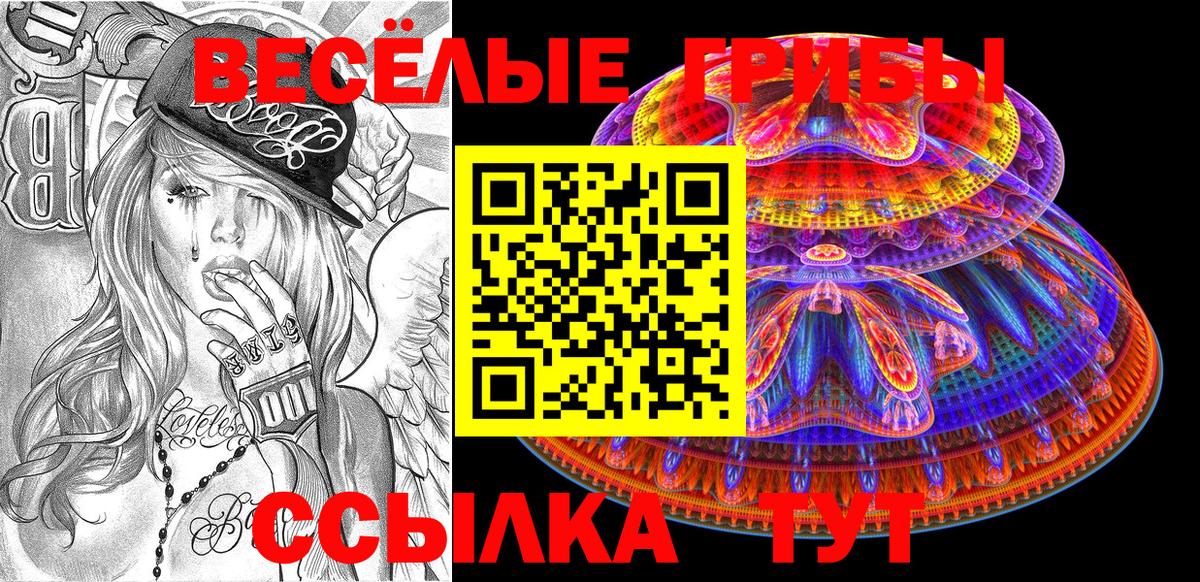 Псилоцибиновые грибы GOLDEN TEACHER  Вход с VPN  Псилоцибиновые грибы Cubensis  магазин    Киров 